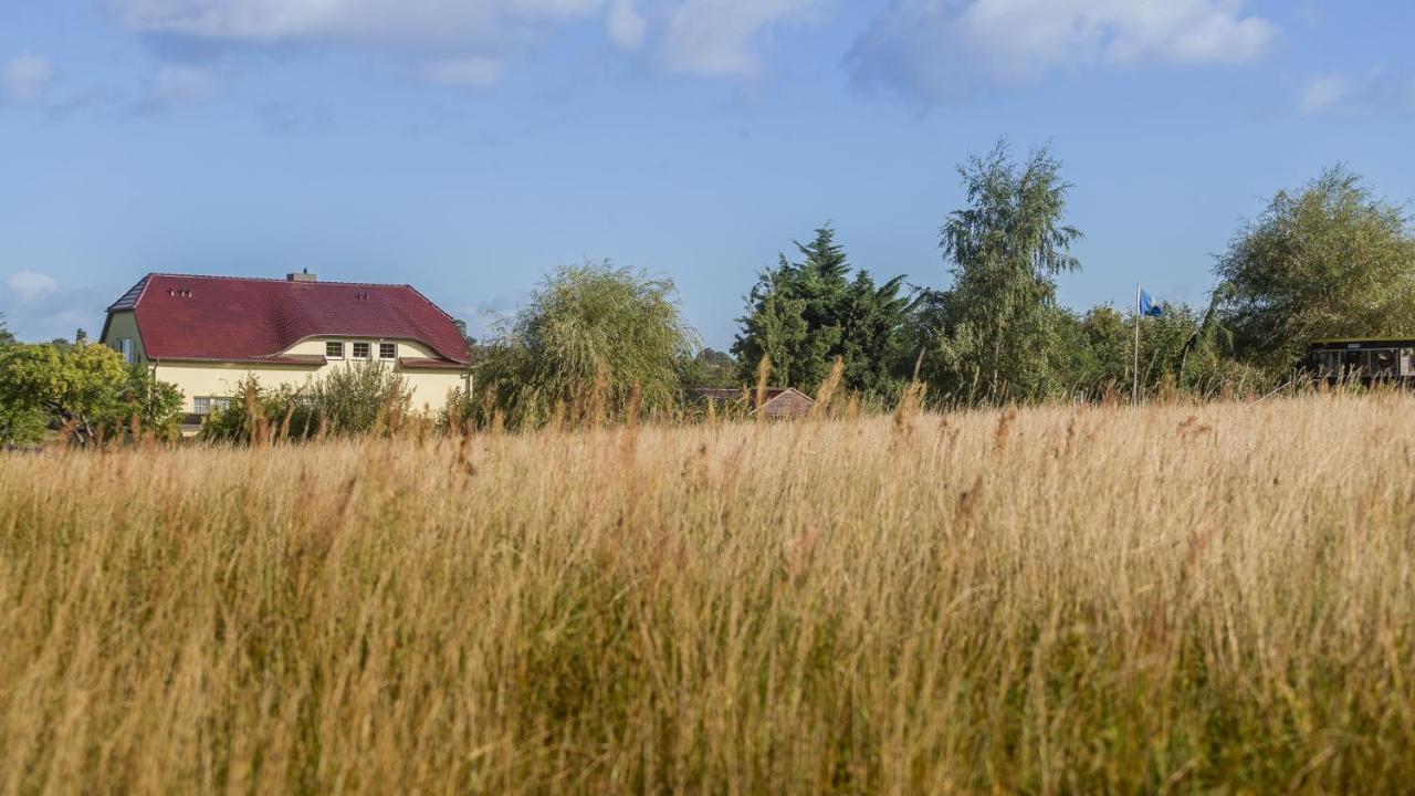 Haus Silbermoewe Middelhagen Exterior foto